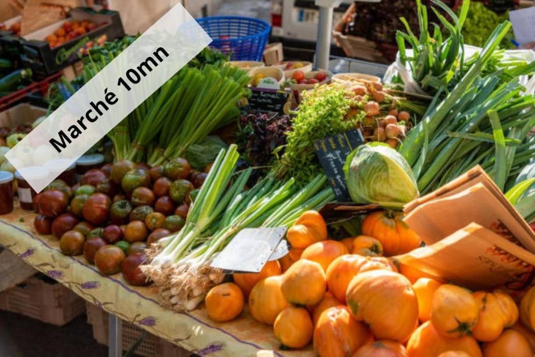 Studio Cosy Neuf - Fibre - Parking Gratuit - Proche Ecoles Et Entreprises أورْسِ المظهر الخارجي الصورة